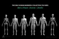 Ultimate Human Basemesh Collection