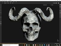 Skull
