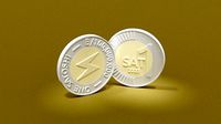 Satoshi Coin - One Bitcoin Satoshi
