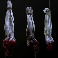 Cloth corpse