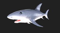 Shark