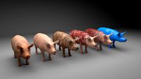 Pig model with 6 different textures