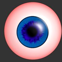 Eyeball