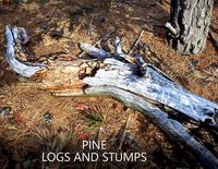 Conifer Pine Logs and Stumps Set