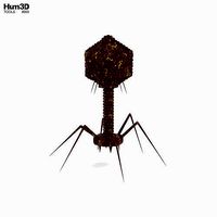 Bacteriophage