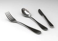 Stainless Steel Cutlery Set
