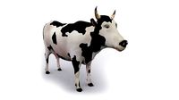 3D COW