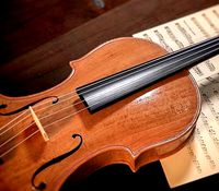 viola