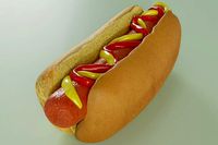 Hot Dog With Sauce