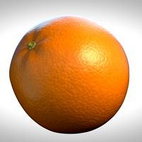 Realistic Orange