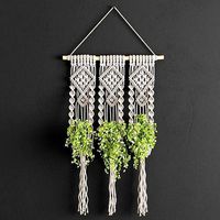 Macrame Planter