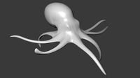 Octupus