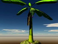 African Plantain tree with fruits