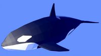 Orcinus Orca or Killer Whale Low Poly
