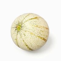 Melon