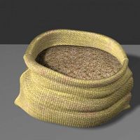 Sack of rice
