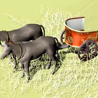 Horse and chariot