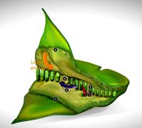 photosynthesis process