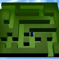Maze Craze