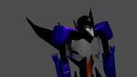 TFP Skywarp model
