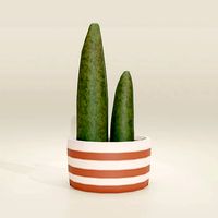 Stylized Low Poly Cactus Plant in pot