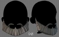 Beard V06