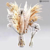 Dry Flower 01