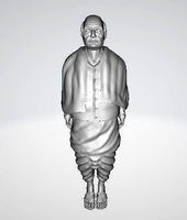 sardar patel