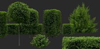 Hedges and Shrubs Pack