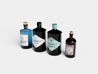 Gin bottles 3d model