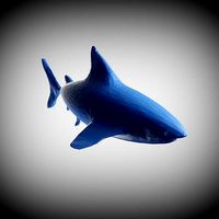 Geometric Shark