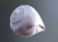 Hindu God Conch Shell