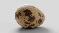 Quail Egg