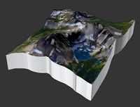 Mountain Wilbur