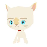 Whisker the white kitty