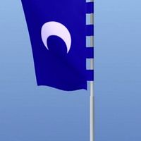 Vertical Flag pole