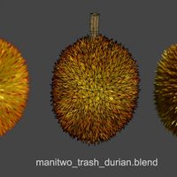 manitwo trash durian