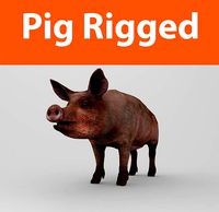 Pig Rigged Model