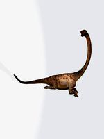 Europasaurus 3d model