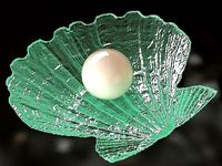 Pearl and Seashell