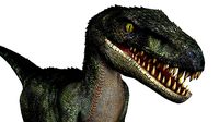 Raptor rigged and animated