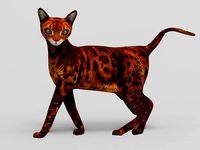 3d Cat Rigged model