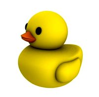 Rubber Duck