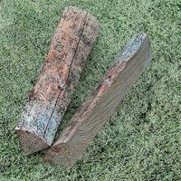 Logs in the grass