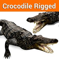 3D Low poly Wild Crocodile Rigged