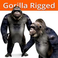 gorilla Rigged 3D Models game ready
