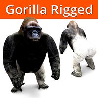 gorilla Rigged 3D Models game ready