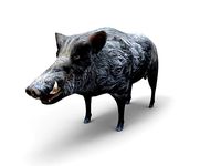3D Wild Boar Rigged 3D Models