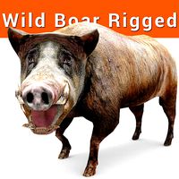 3D low poly Wild Boar Rigged