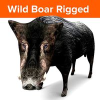 3D Black Wild Boar Rigged